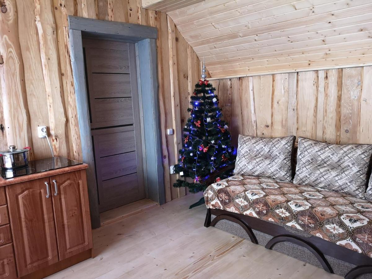 Vila Володар Jaremče Exteriér fotografie