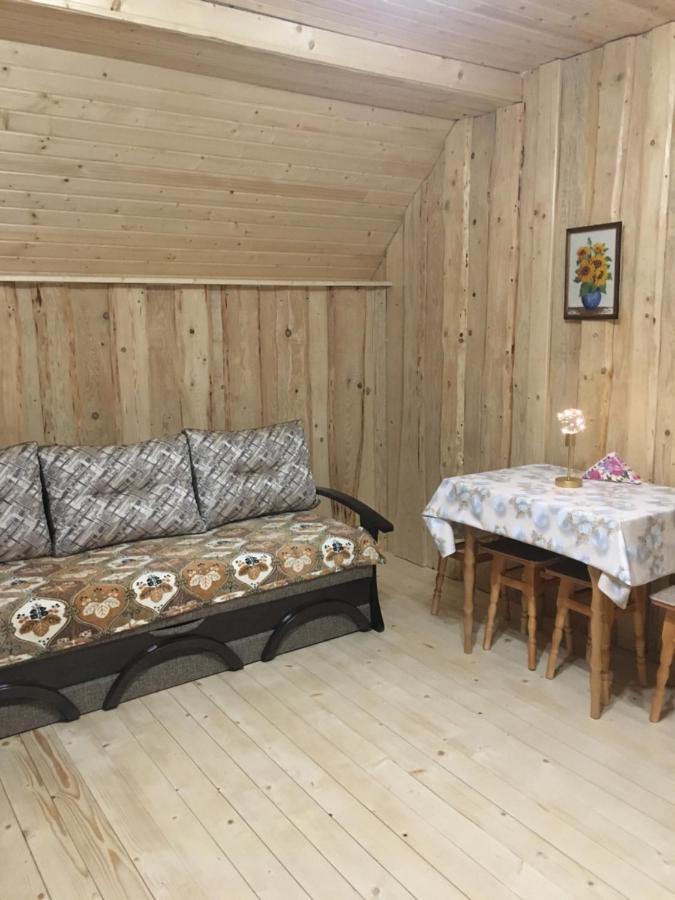 Vila Володар Jaremče Exteriér fotografie